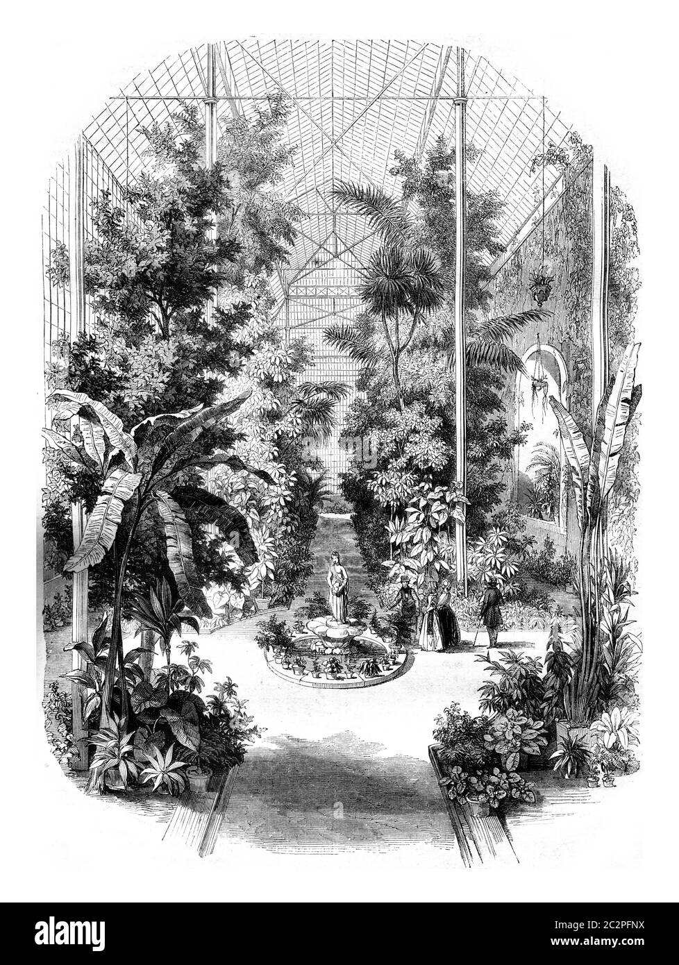 Vista delle serre del Jardin des Plantes di Parigi, illustrazione d'epoca incisa. Magasin Pittoresque 1845. Foto Stock