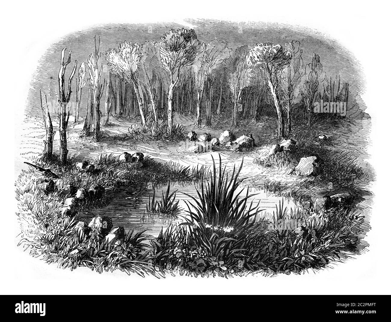 Cerchio di pietra noto come la Tomba di Merlin nella foresta di Paimpont, dipartimenti di Ille et Vilaine e Morhiban, illustrazione d'epoca incisa. Magasi Foto Stock