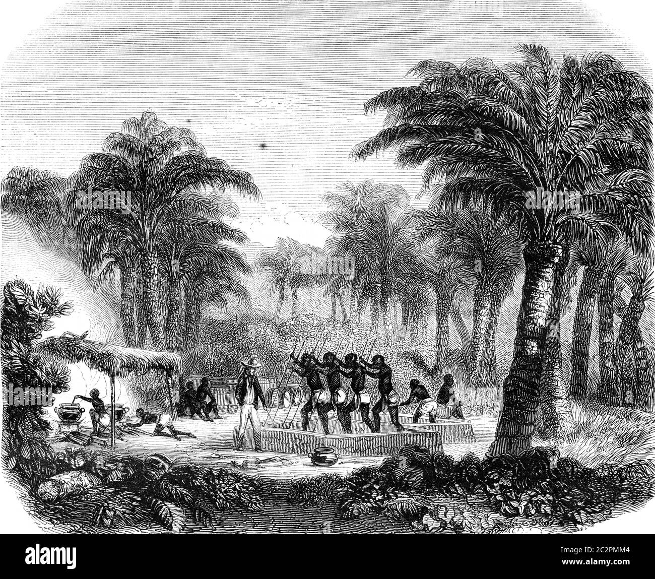 Produzione di olio di palma Whyda, Guinea, Cote Slave, illustrazione d'epoca incisa. Magasin Pittoresque 1846. Foto Stock