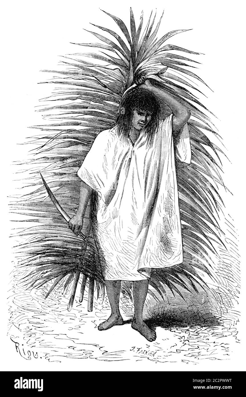 Uomo con una fronte di palma e coltello, illustrazione vintage incisa. Le Tour du Monde, Travel Journal, (1865). Foto Stock