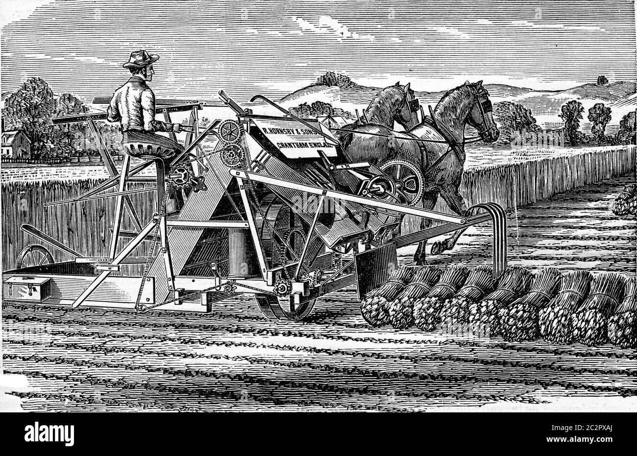 Reaper-Binder mm. Hornsby e figlio, illustrazione d'epoca incisa. Enciclopedia industriale E.-O. Lami - 1875. Foto Stock