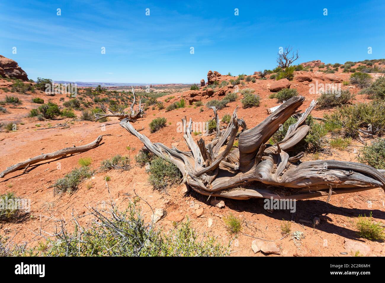 Deserto stracci nella valle monumento, cielo blu sullo sfondo. Foto Stock