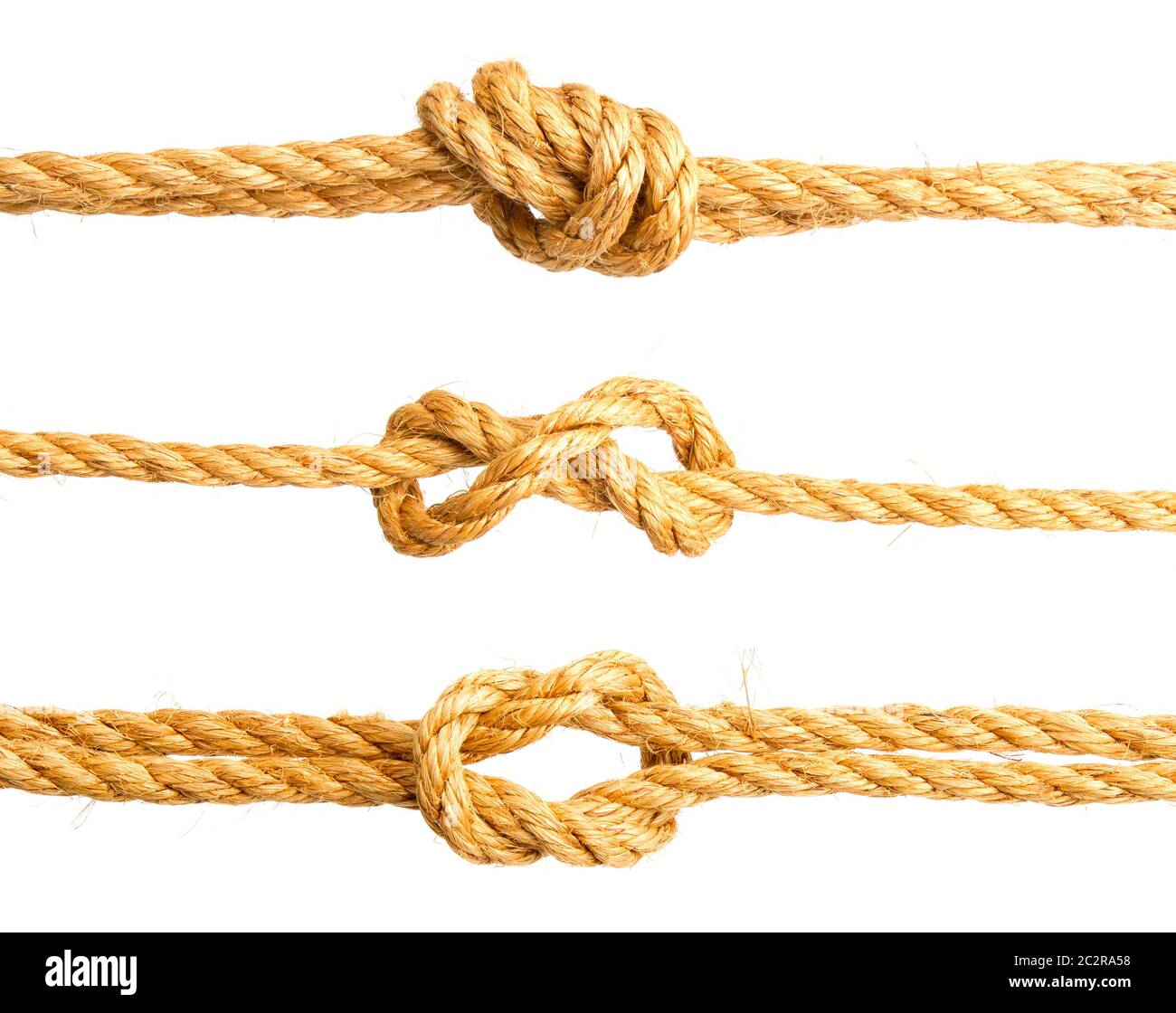 nodo di mare bianco Foto Stock