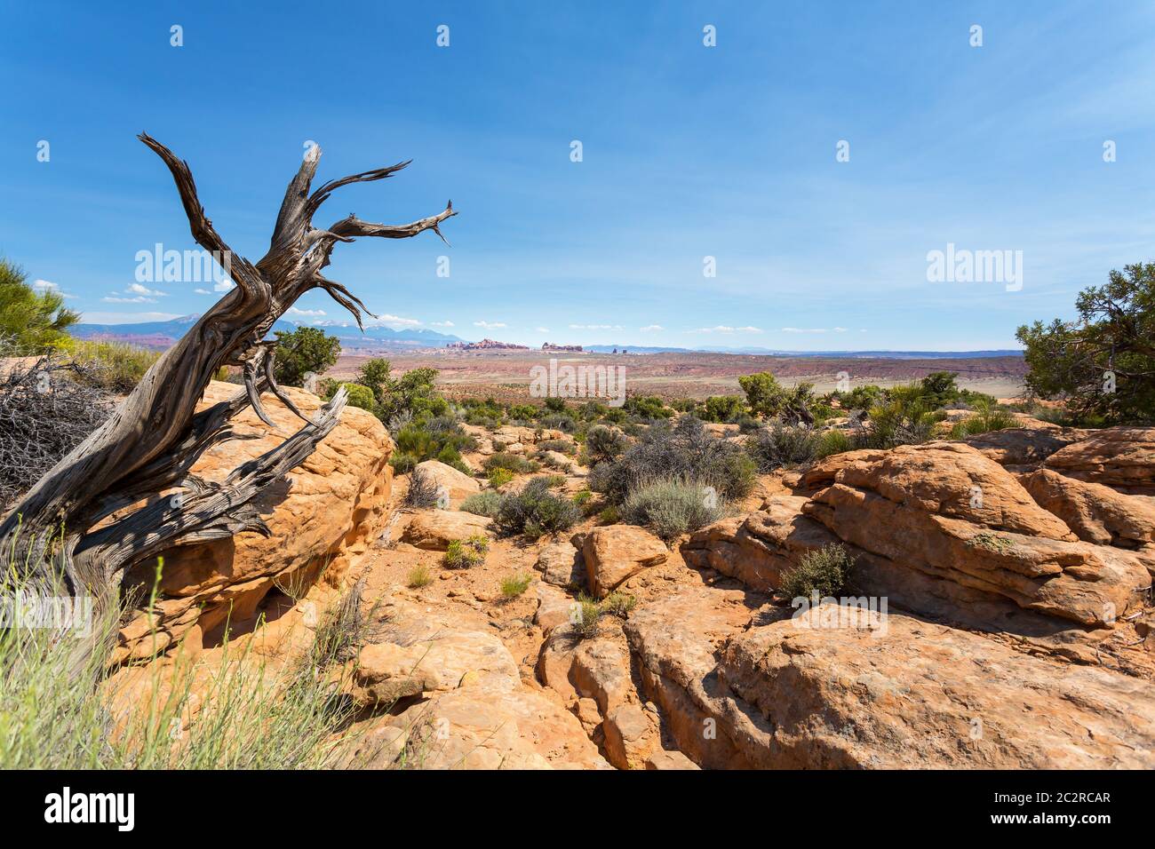 Montagne di pietra in valle. Fauna selvatica nella valle del deserto. Foto Stock