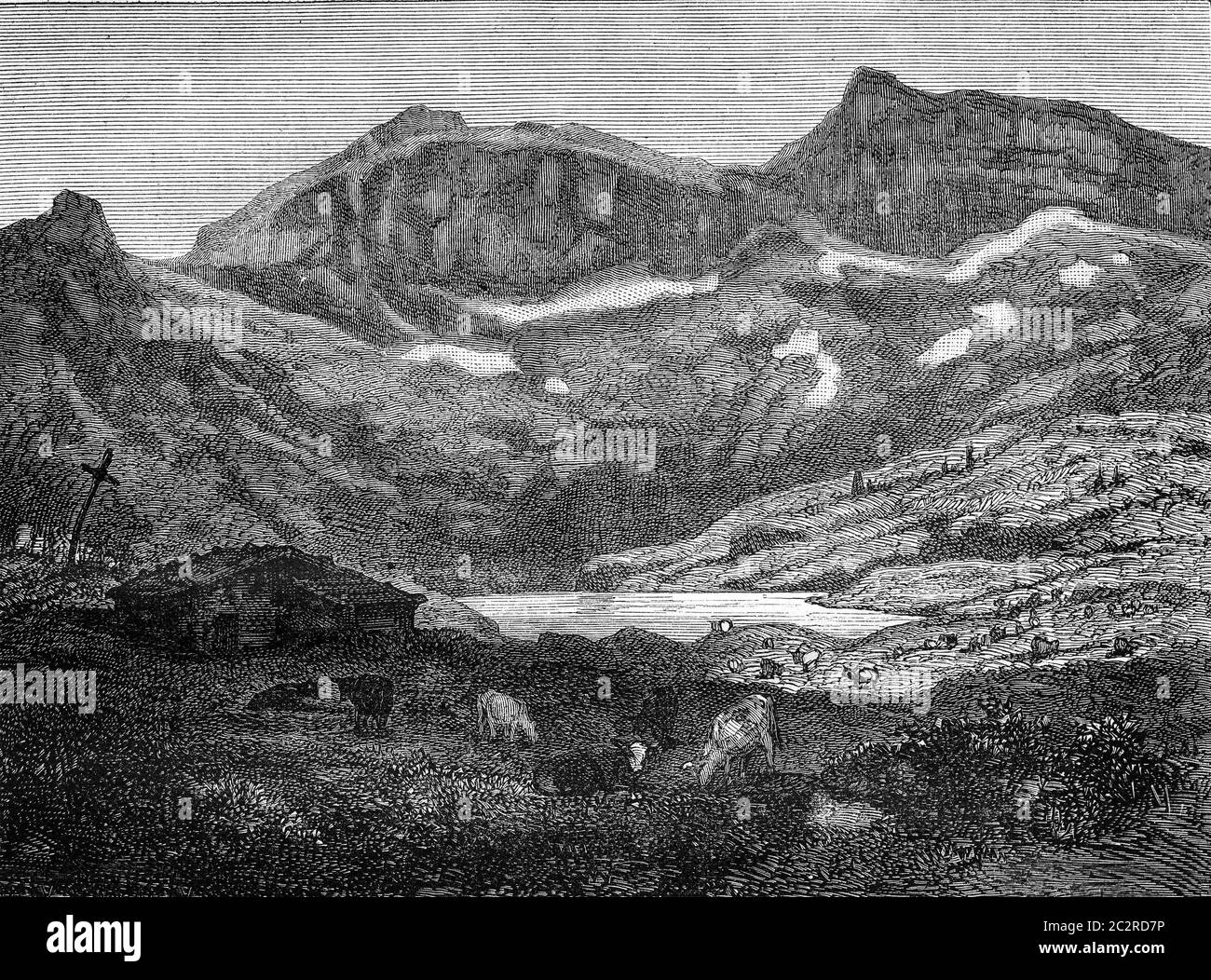 Leefeld Alpi selvatiche, cantone di Untervaldo, illustrazione d'annata incisa. Magasin Pittoresque 1877. Foto Stock