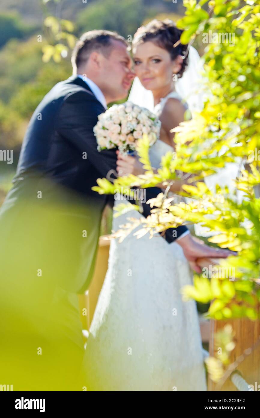 Matrimonio. Sposa e sposo il giorno del loro matrimonio. Un paio di amanti. Foto Stock