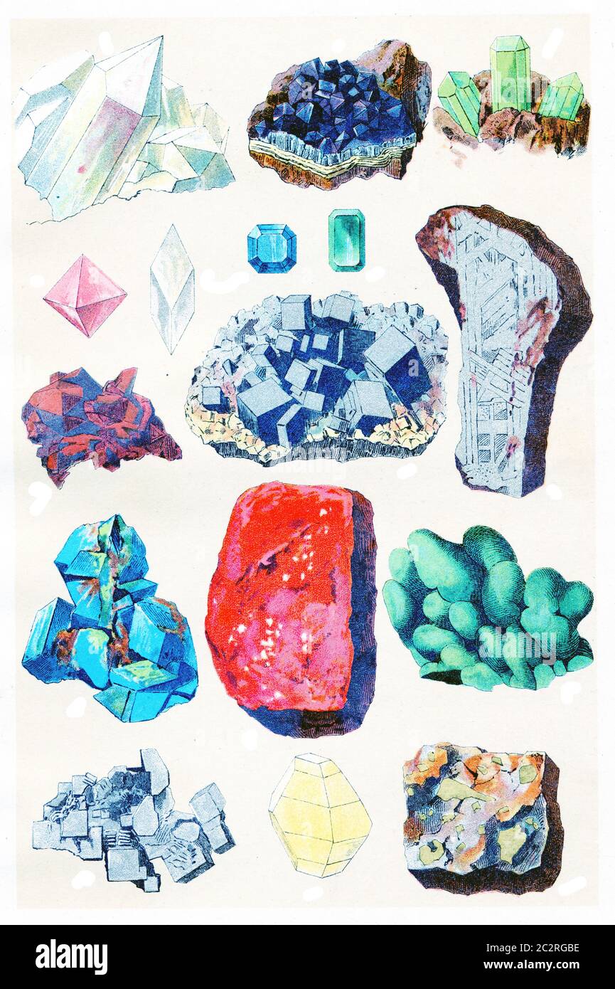 Legenda della piastra 17, illustrazione vintage incisa. La vie dans la nature, 1890. Foto Stock