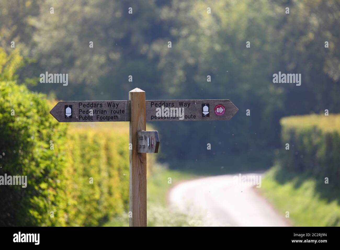 Indicazione per il sentiero a lunga distanza Peddar's Way a Fring, a Norfolk, Inghilterra. Foto Stock