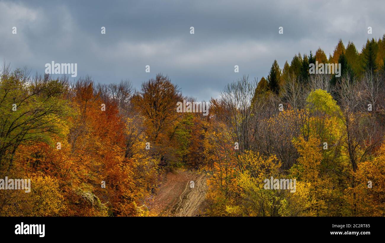 Bel cielo e nuvole su una foresta in cima a una collina Foto Stock