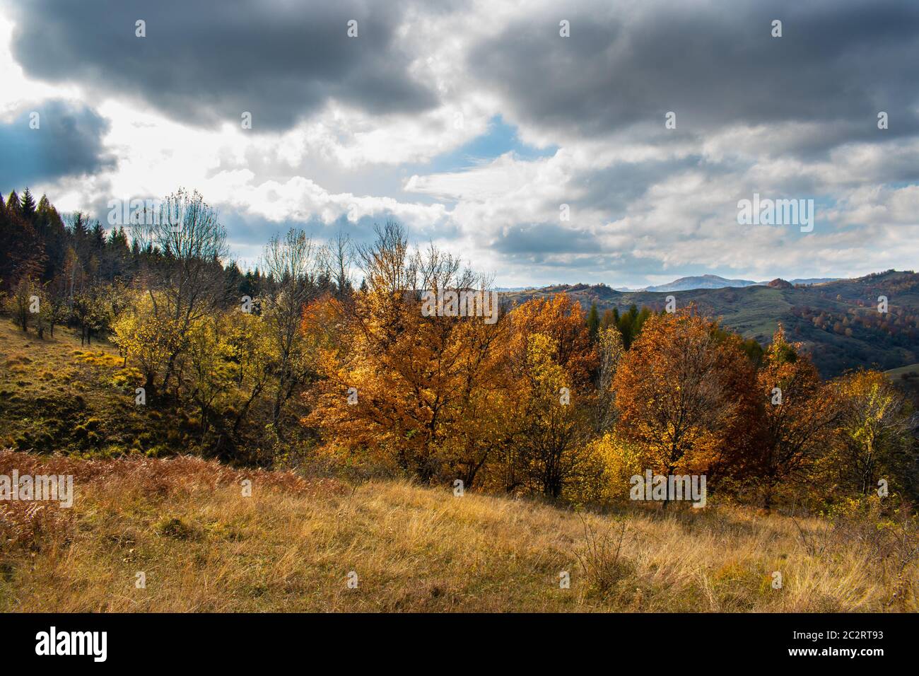 Bel cielo e nuvole su una foresta in cima a una collina Foto Stock