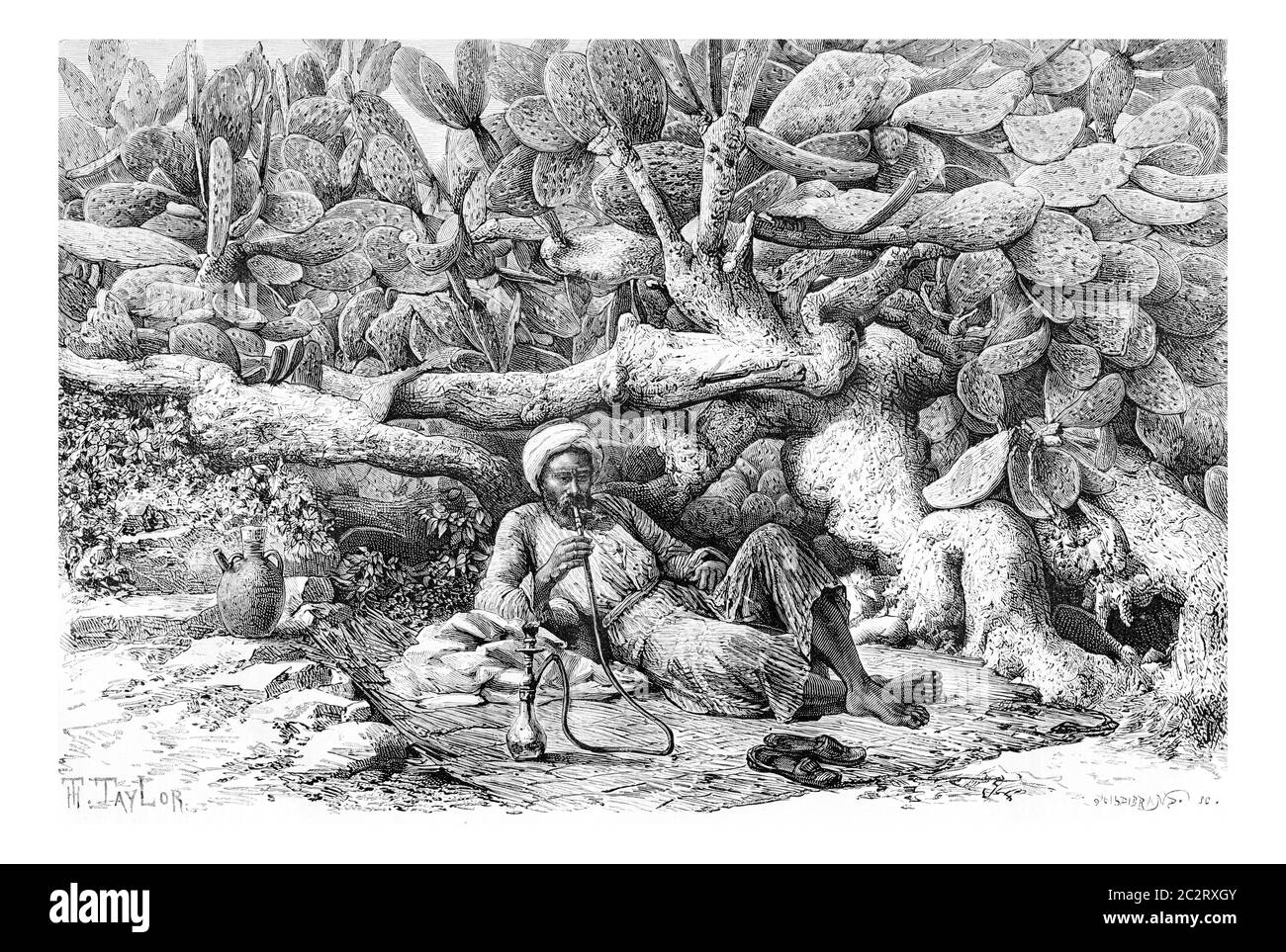 Uomo Smoking a Hookah di un Cactus Hedge a Jenin, Israele, illustrazione d'epoca incisa. Le Tour du Monde, Travel Journal, 1881 Foto Stock