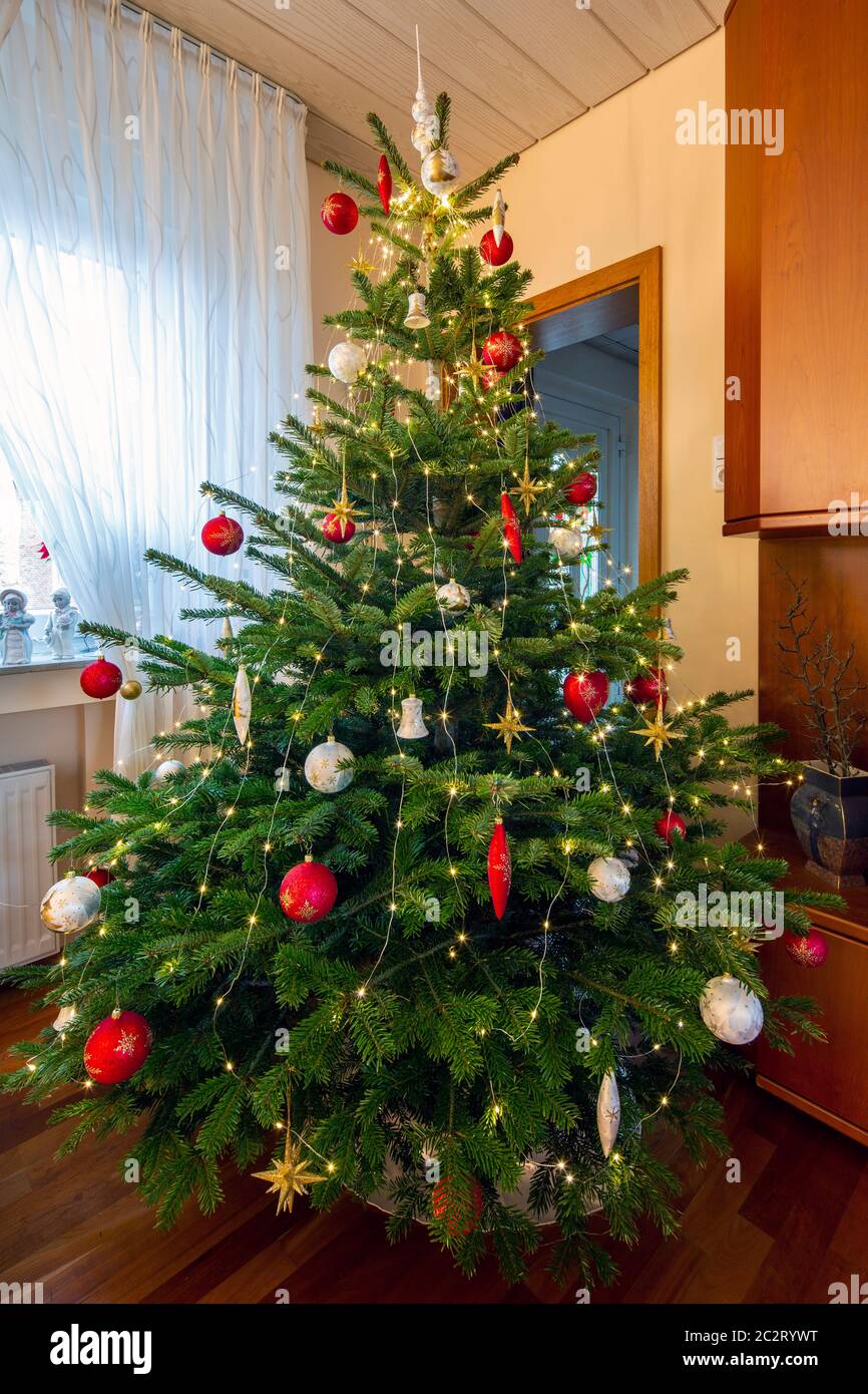 Weihnachten, festlich dekorierter und geschmueckter Weihnachtsbaum in einem Wohnzimmer, Christbaumkugeln, Weihnachtssterne, Deutschland, Oberhausen-St Foto Stock