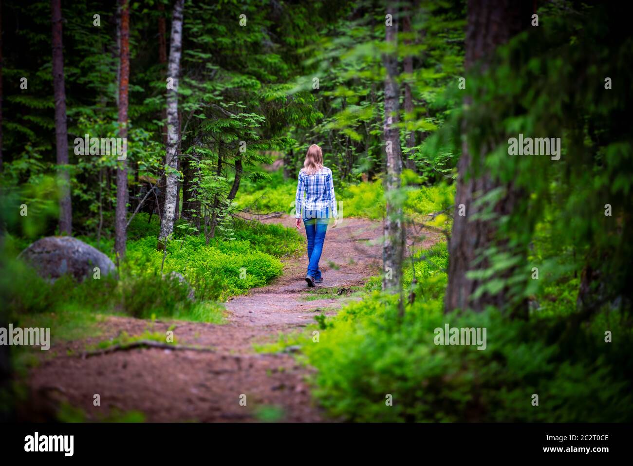 La donna curva sulla strada forestale in estate. Gli alberi ai lati della strada Foto Stock