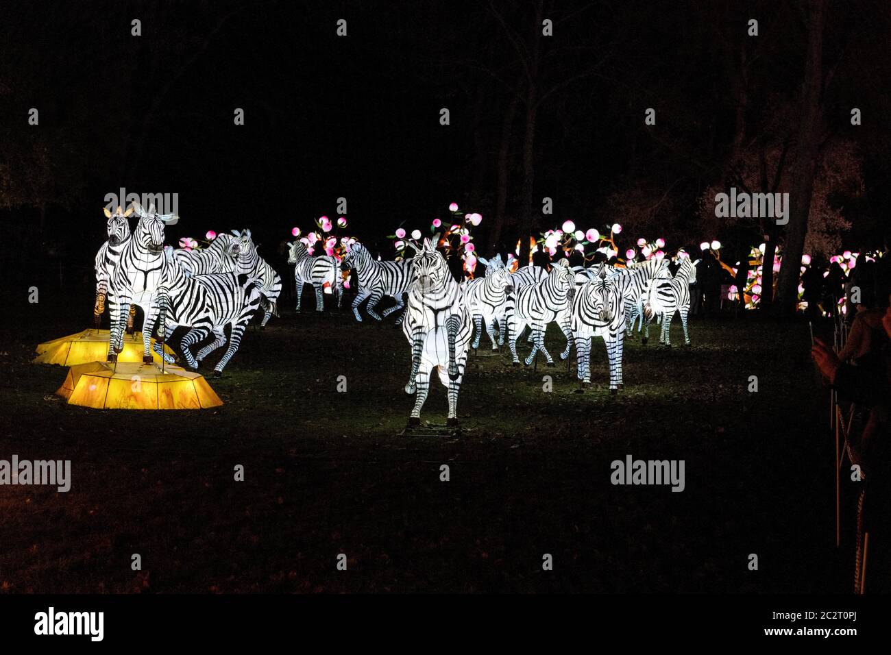 Francia Gaillac Tarn 12-2018: La festa delle lanterne uno dei più grandi del suo genere in Europa si svolge in quattro ettari di parklan nel villaggio di Foto Stock