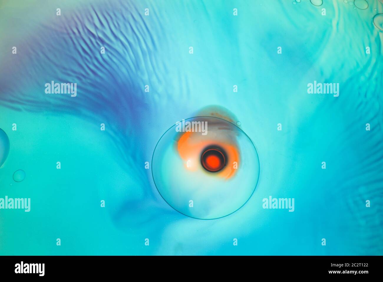 Contenuto visivo prodotto con il proiettore lightmotiv: Forme organiche e processi naturali portano a reazioni estetiche di interfaccia. Foto Stock