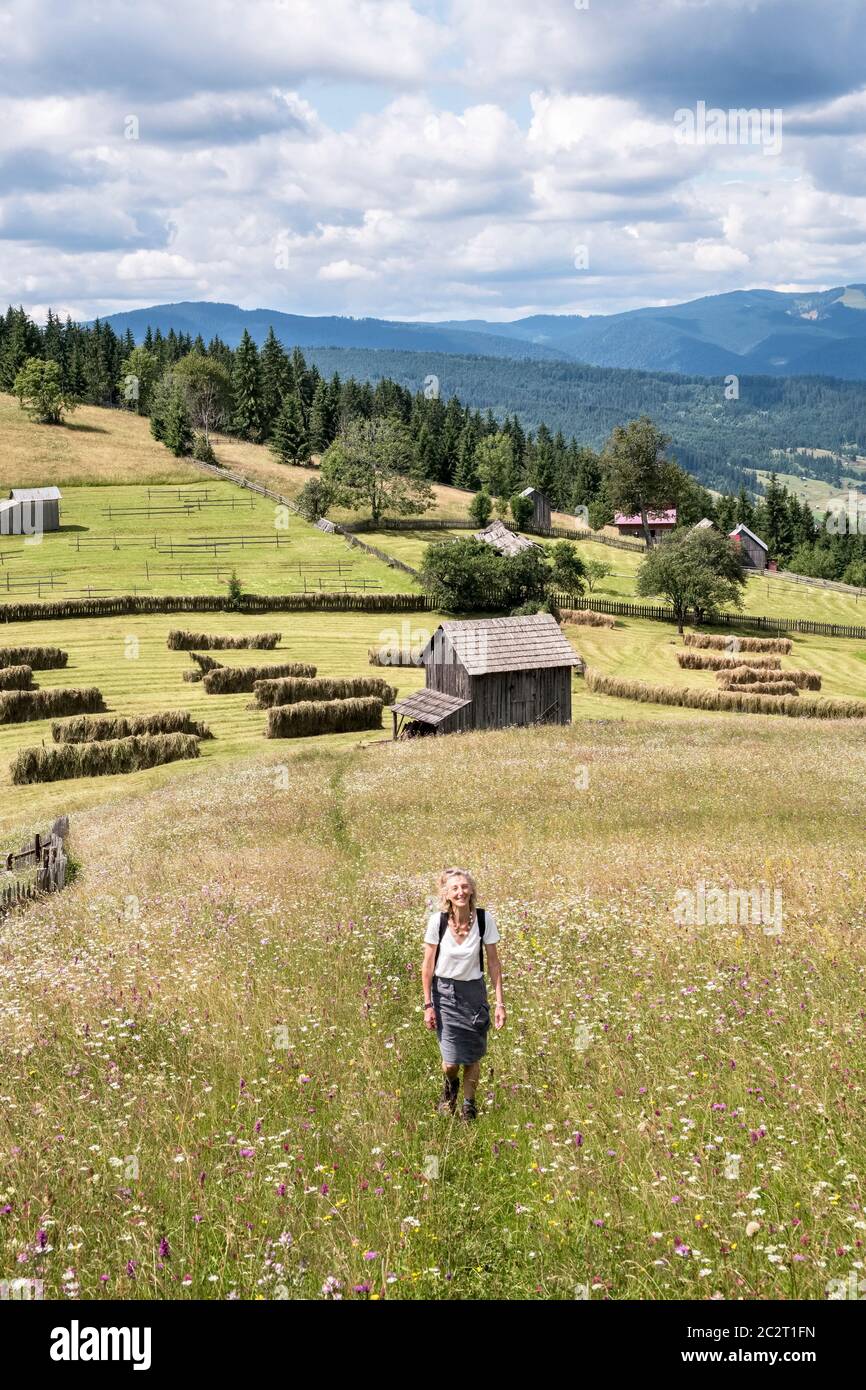 Escursioni nei pressi di Botiza a Maramureș, Romania settentrionale. I fiori selvatici prosperano sugli alti pascoli, dove i contadini tagliano a mano e non applicano sostanze chimiche Foto Stock