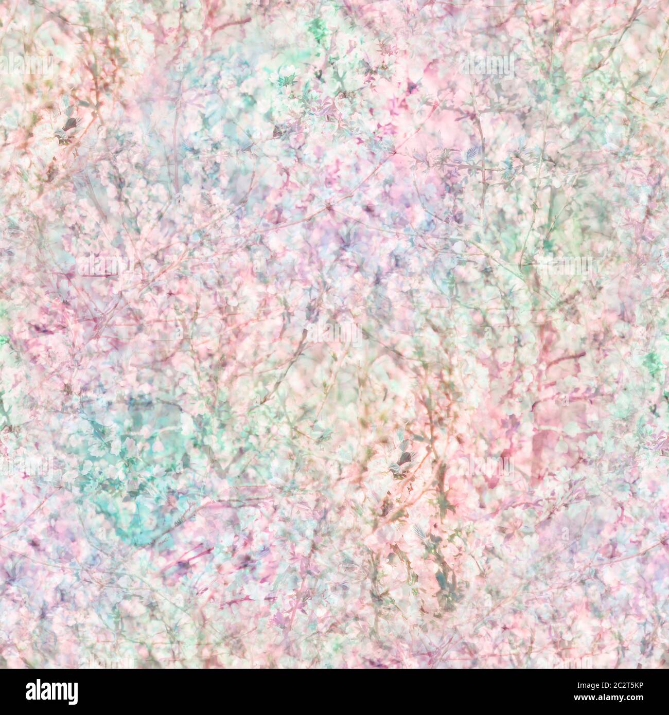 Motivo naturale senza cuciture di ramoscelli in ciliegio fiorito. Colori pastello, camouflage glamour, motivi per tessuti, design, siti. Foto Stock