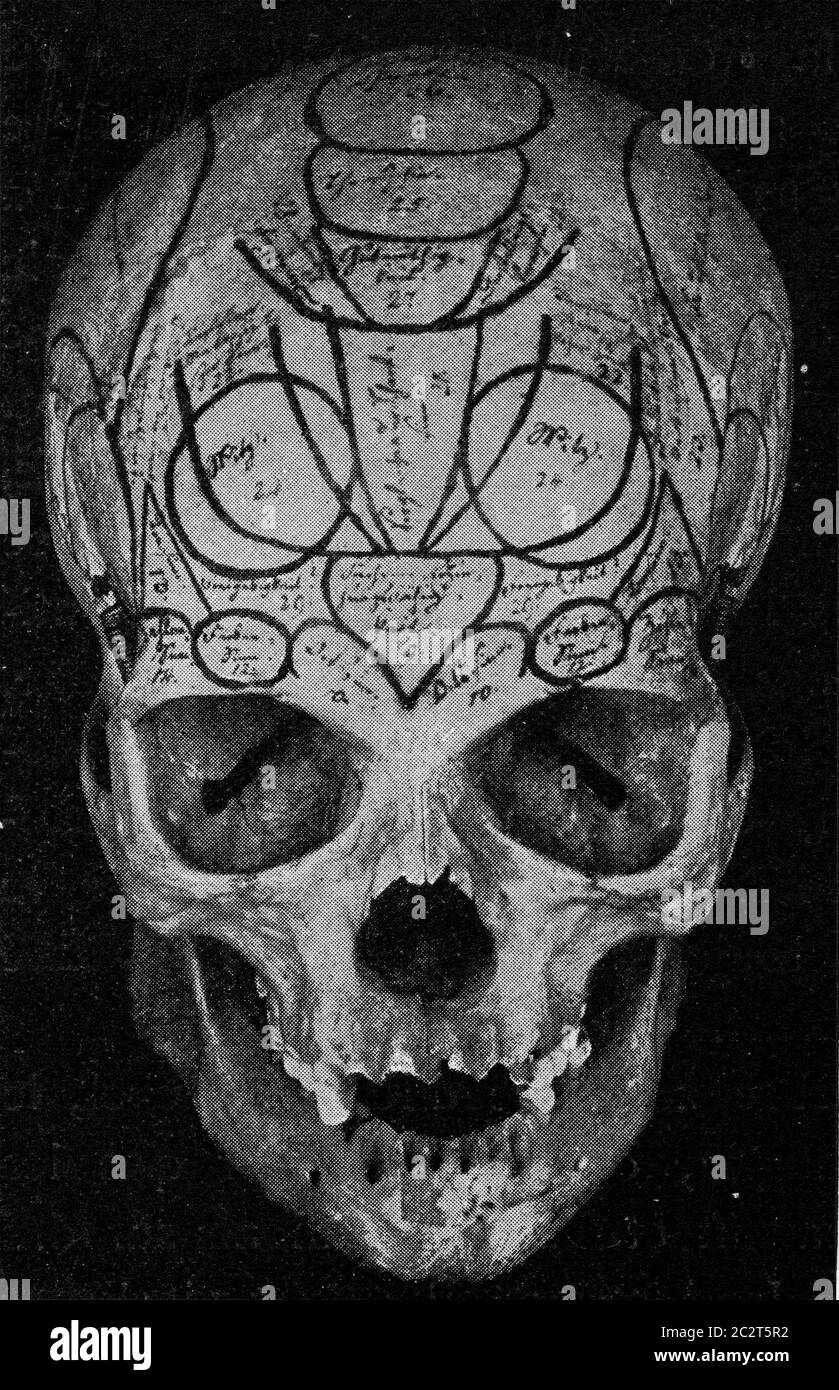 Cranio di Gall, visto dalla parte anteriore, vintage figura incisa. Dall'Universo e dall'umanità, 1910. Foto Stock