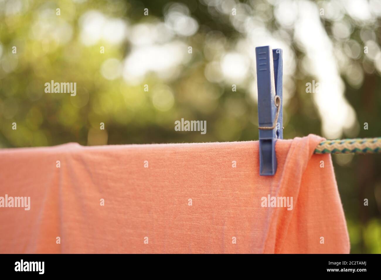 la t-shirt rosa femmina si asciuga su una corda con la spilla blu in giardino, vista closeup, sfondo naturale sfocato Foto Stock