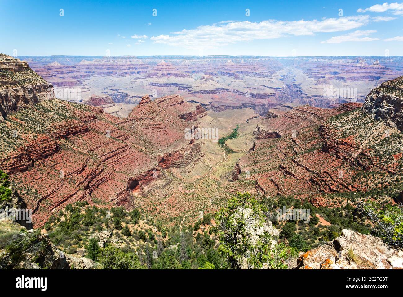 Parco Nazionale del Grand Canyon di natura selvaggia, Arizona, Stati Uniti d'America Foto Stock