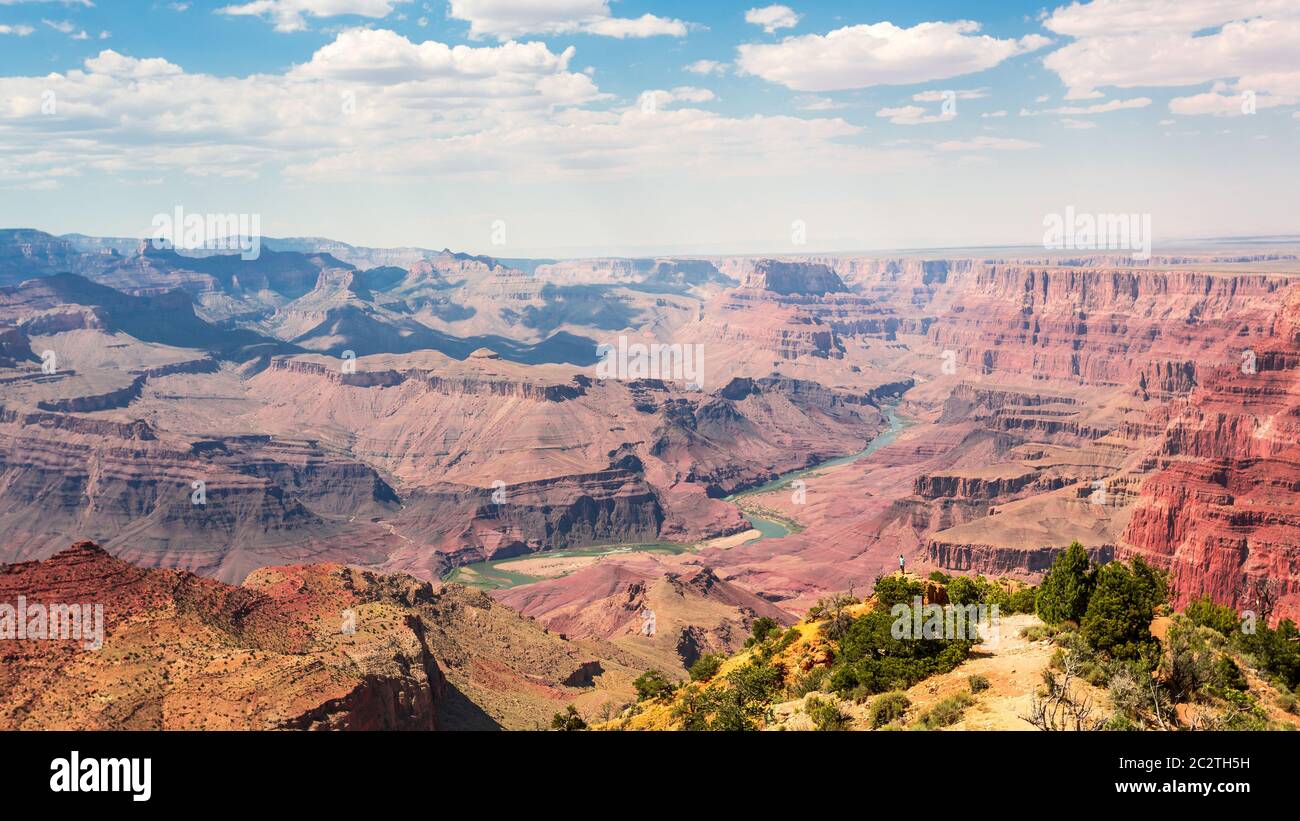 Parco Nazionale del Grand Canyon di natura selvaggia, Arizona, Stati Uniti d'America Foto Stock