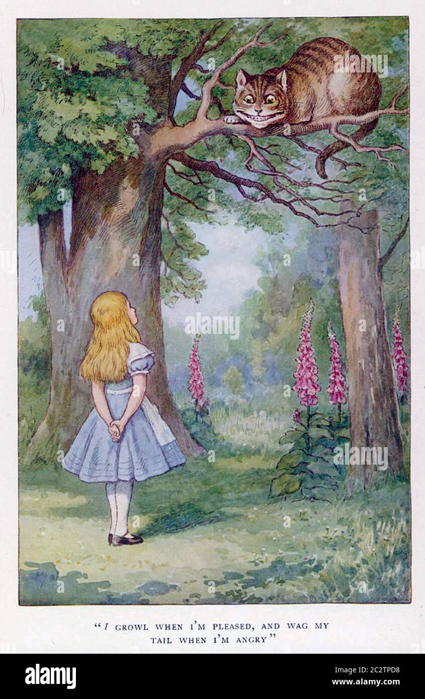 CHESHIRE CAT di Alice's Adventures in Wonderland di Lewis Carroll nel 1865 Foto Stock