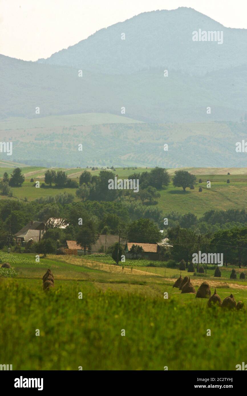 Paesaggio estivo in Moldavia, Romania. Terreno agricolo con fienate tradizionali nella valle, montagne in lontananza. Foto Stock