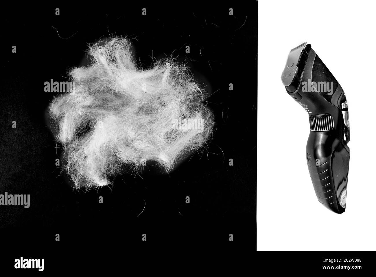 Capelli auto-tagliati dalla testa di un uomo in pensione utilizzando i regolacapelli elettrici durante il blocco coronavirus quando i negozi di parrucchiere non erano aperti. Foto Stock Capelli auto-tagliati dalla testa di un uomo in pensione utilizzando i regolacapelli elettrici durante il blocco coronavirus quando i negozi di parrucchiere non erano aperti. Foto Stock