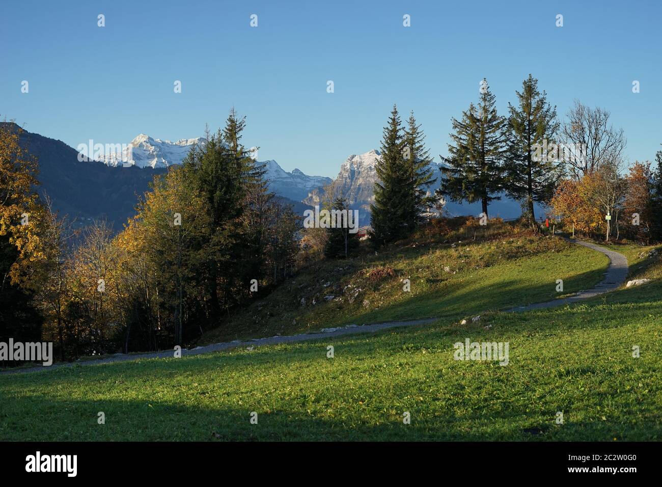 autunno misto foresta, verde prato di montagna di fronte alle alte montagne Foto Stock