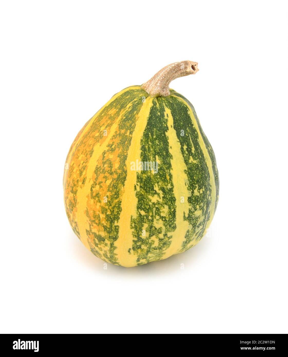 Semi-mature zucca ornamentale di colore giallo e con strisce verdi, il cambiamento di colore arancione su sfondo bianco Foto Stock