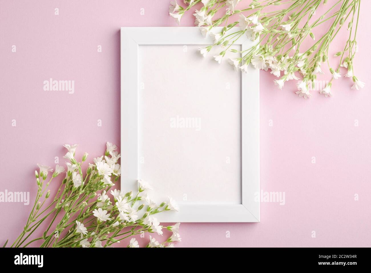 Bianco mockup cornice foto vuota con mouse-orecchio fiori di ceci su sfondo rosa, vista dall'alto spazio copia Foto Stock