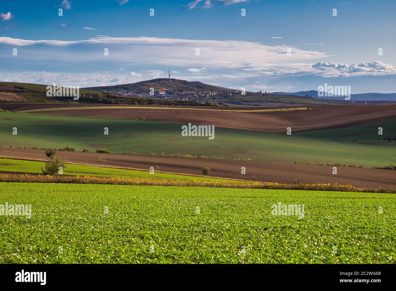 Panorama di autunno i campi colorati di Moravian Toscana in Moravia del sud, Cechia Foto Stock