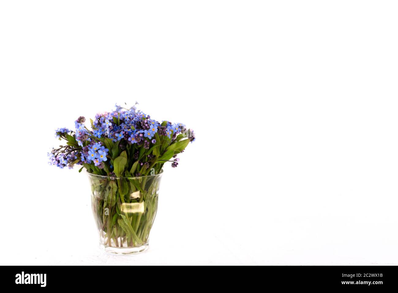 Fiori di campo blu in una tazza di vetro contro una parete bianca. Sfondo bianco. Dimentichi me nots. Foto Stock