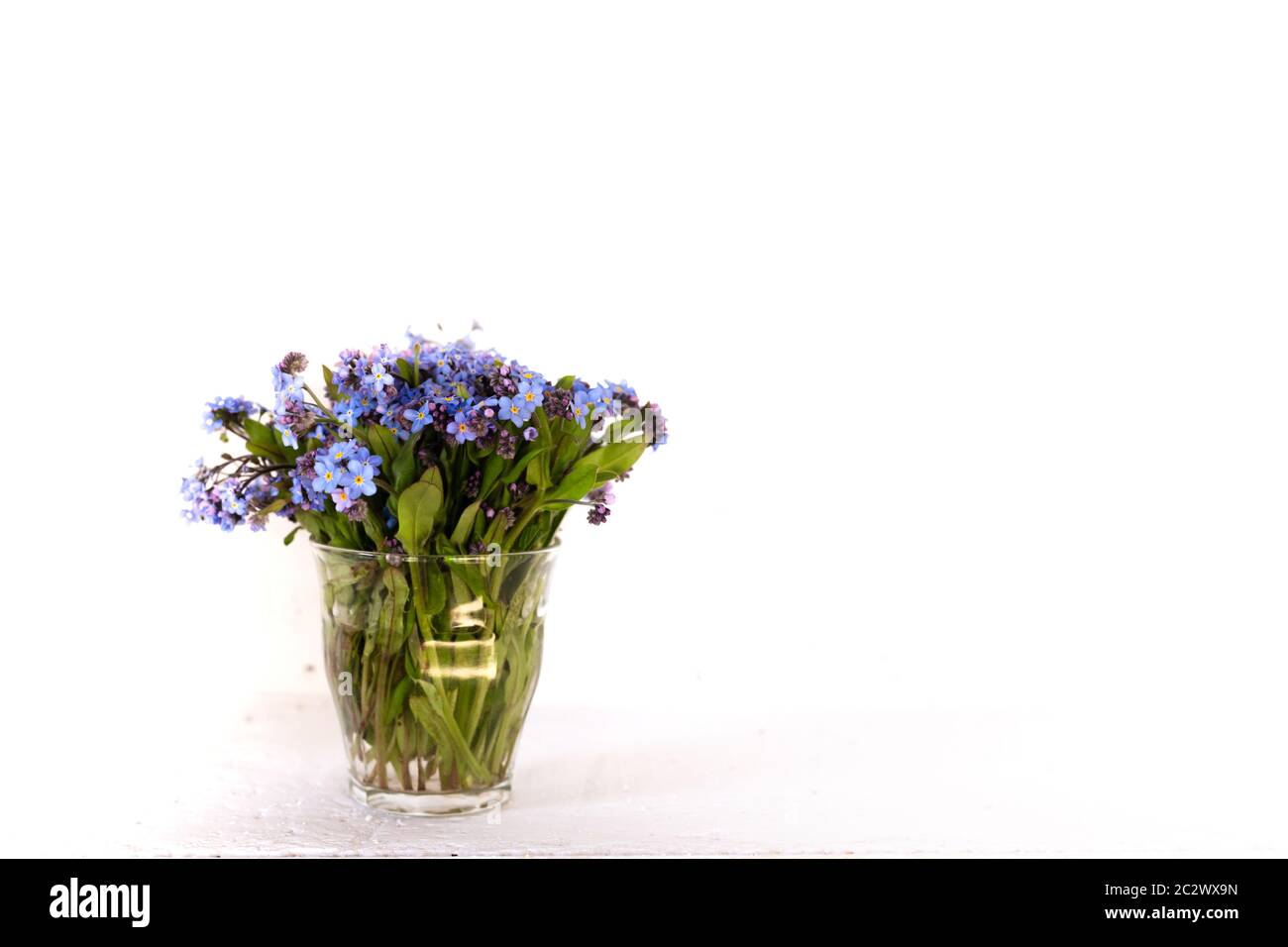 Fiori di campo blu in una tazza di vetro contro una parete bianca. Sfondo bianco. Dimentichi me nots. Foto Stock