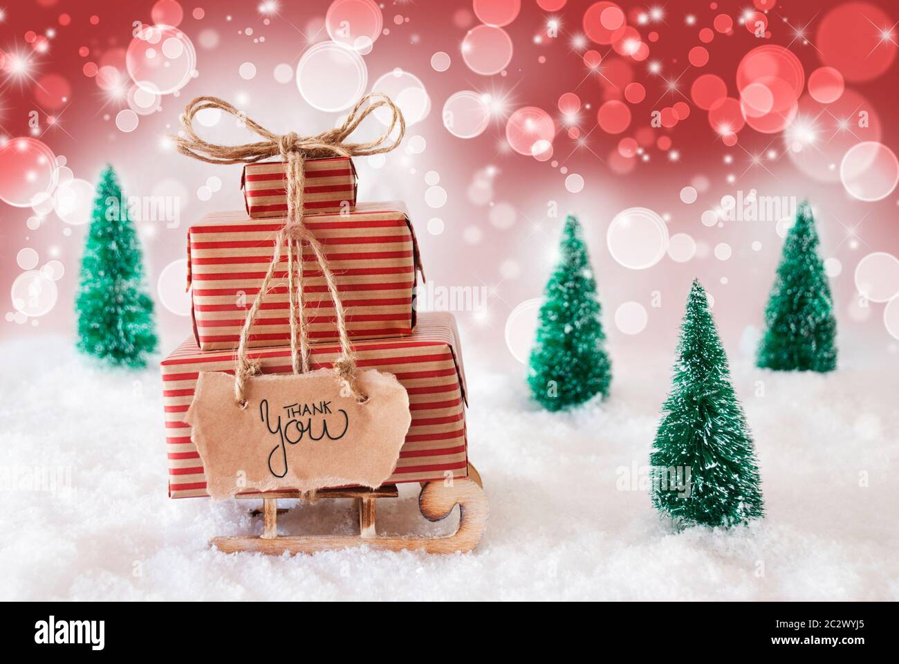 La slitta con un regalo di Natale e Etichetta con la calligrafia inglese Grazie. Neve con albero di Natale e spumante rosso sfondo Foto Stock