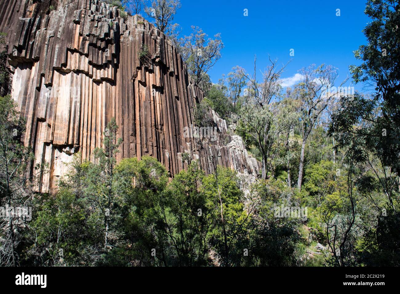 'Sawn Rocks' in Kaputar Parco Nazionale vicino a Narrabri, NSW, Australia. Questa caratteristica geologica è denominata "organo a canne' Foto Stock