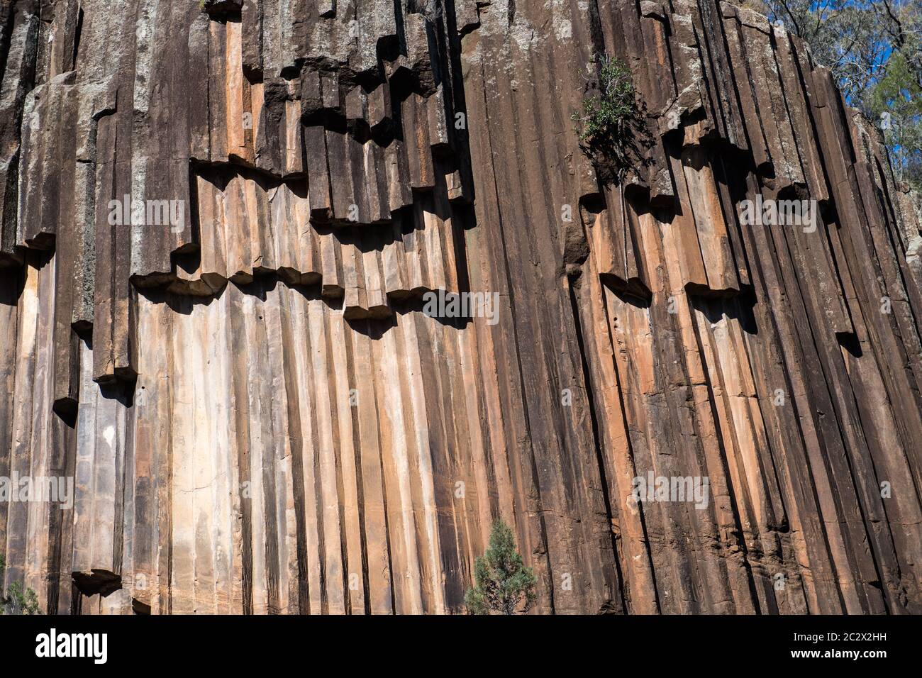 'Sawn Rocks' in Kaputar Parco Nazionale vicino a Narrabri, NSW, Australia. Questa caratteristica geologica è denominata "organo a canne' Foto Stock