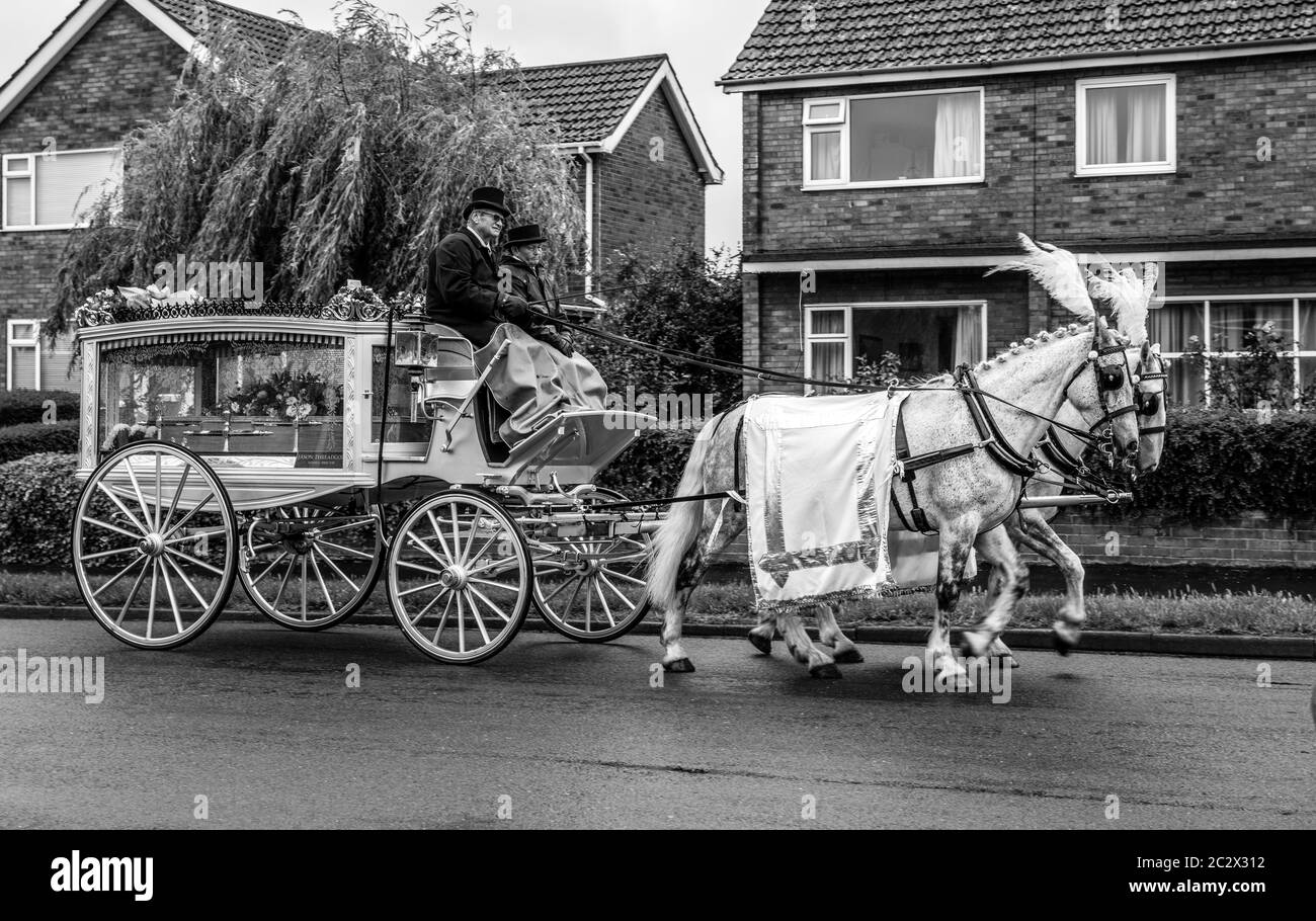 Funerali di cavalli e cart Foto Stock