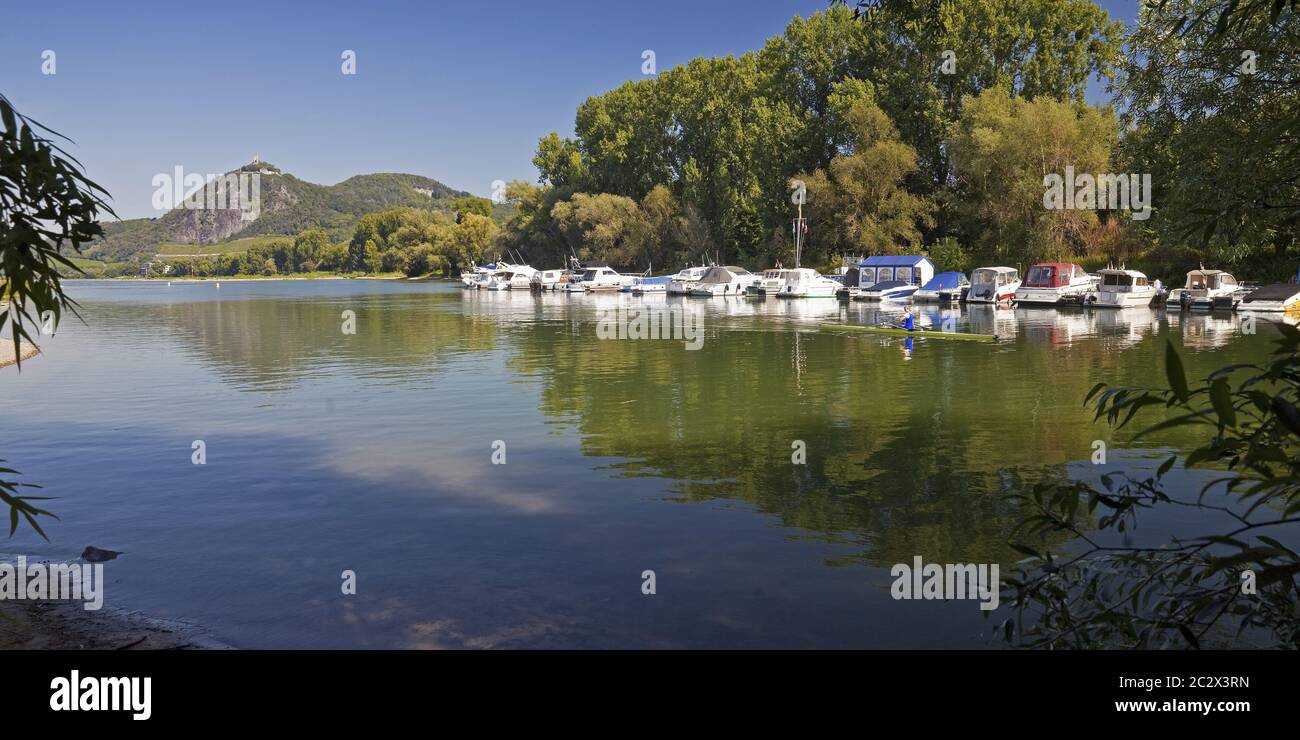 Braccio del Reno antico con marina e Drachenfels, Bad Honnef, Nord Reno-Westfalia, Germania, Europa Foto Stock