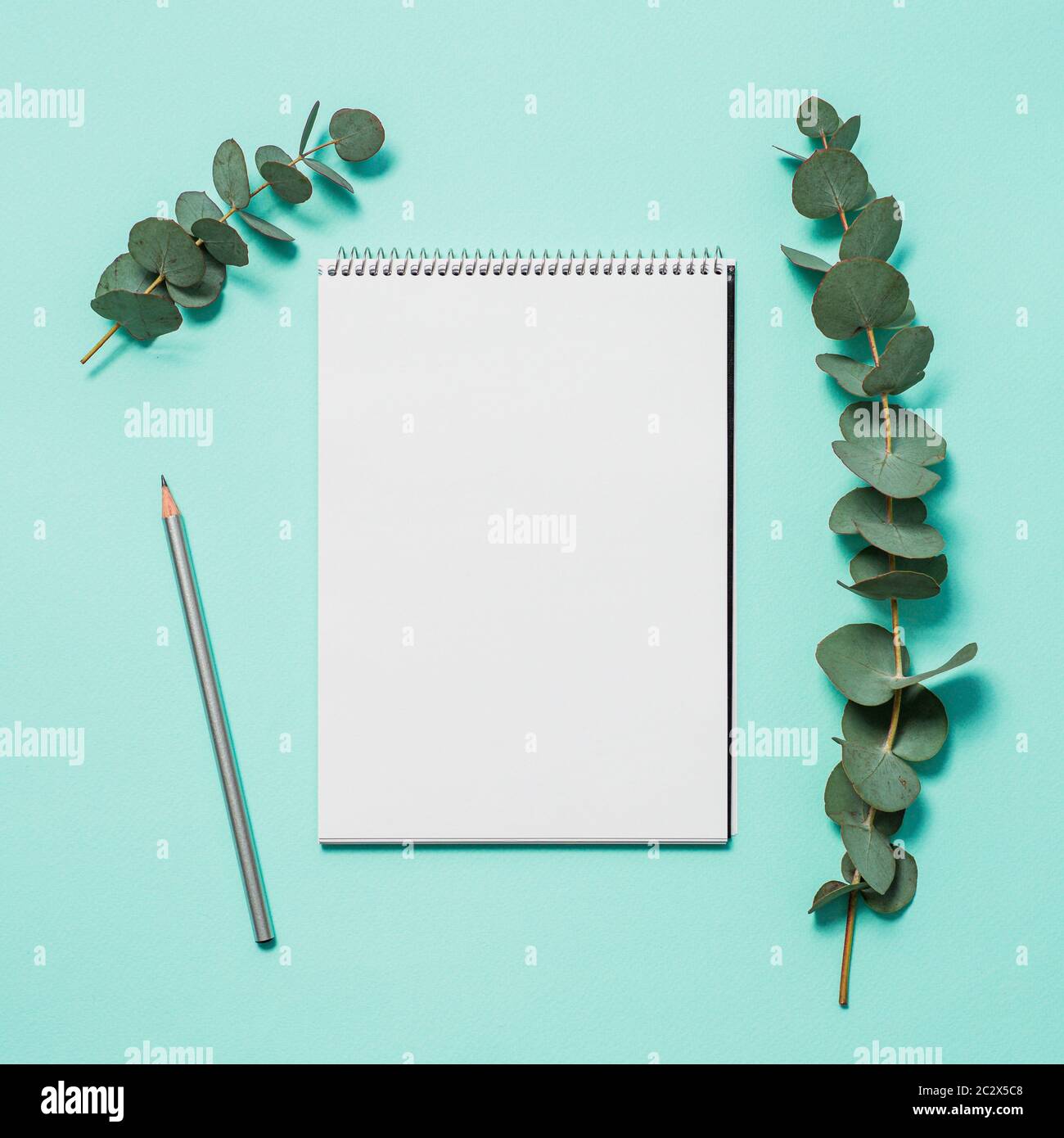 Notebook vuoto, matita e eucalipto su sfondo blu. Notebook vuota della carta e del ramo di eucalipto pastello su sfondo blu con copia spazio per tex Foto Stock