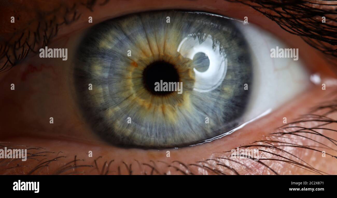Occhio estremo di colore verde e blu femminile sinistro Foto Stock