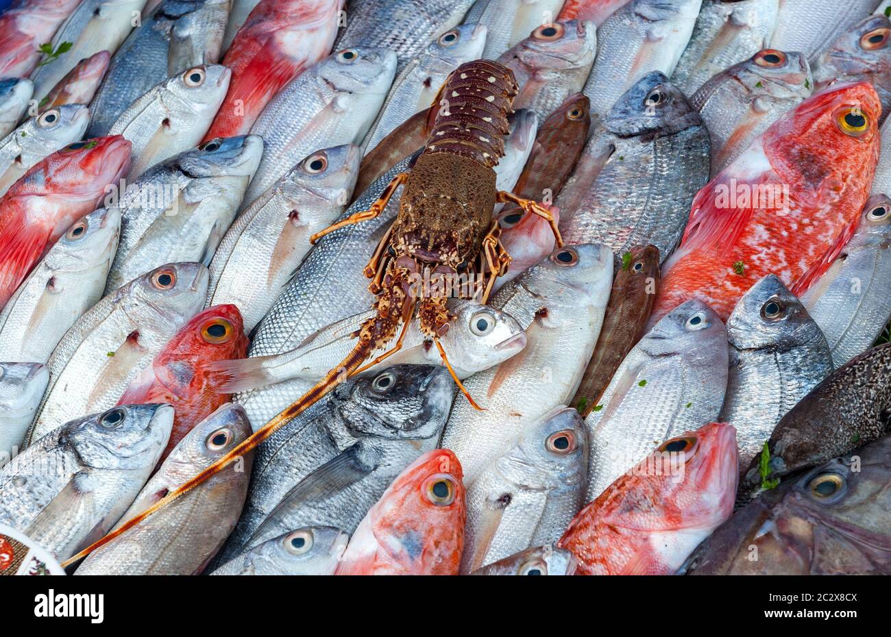 Pesce fresco e aragosta al mercato del pesce Foto Stock