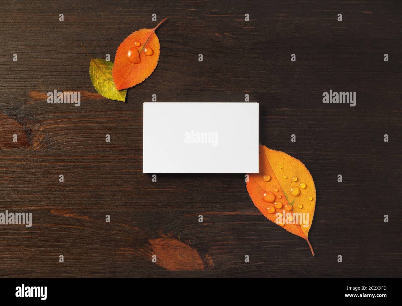 Foto di biglietto da visita vuoto e foglie di autunno luminoso su sfondo tavola di legno. Modello per l'identità di branding. Mockup per ID. Disposizione piatta. Foto Stock