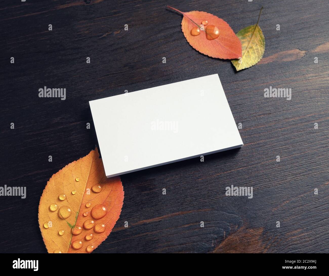 Foto di biglietto da visita vuoto e foglie d'autunno su sfondo vintage tabella di legno. Modello per ID. Simulazione dell'identità di branding. Foto Stock