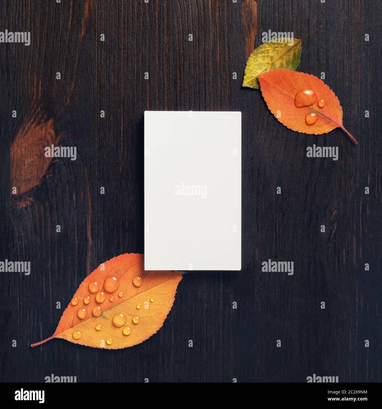 Biglietto da visita vuoto e foglie d'autunno su sfondo vintage di legno. Mock-up per ID. Modello vuoto per l'identità di branding per i progettisti. Disposizione piatta. Foto Stock