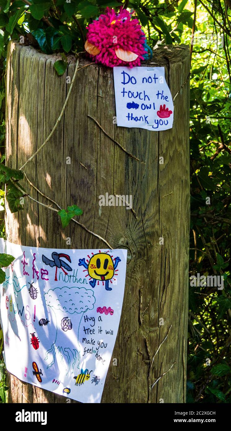 La ribellione dell'estinzione e la comunità locale protestano per la costruzione di un sito di prato selvaggio SSI Foto Stock