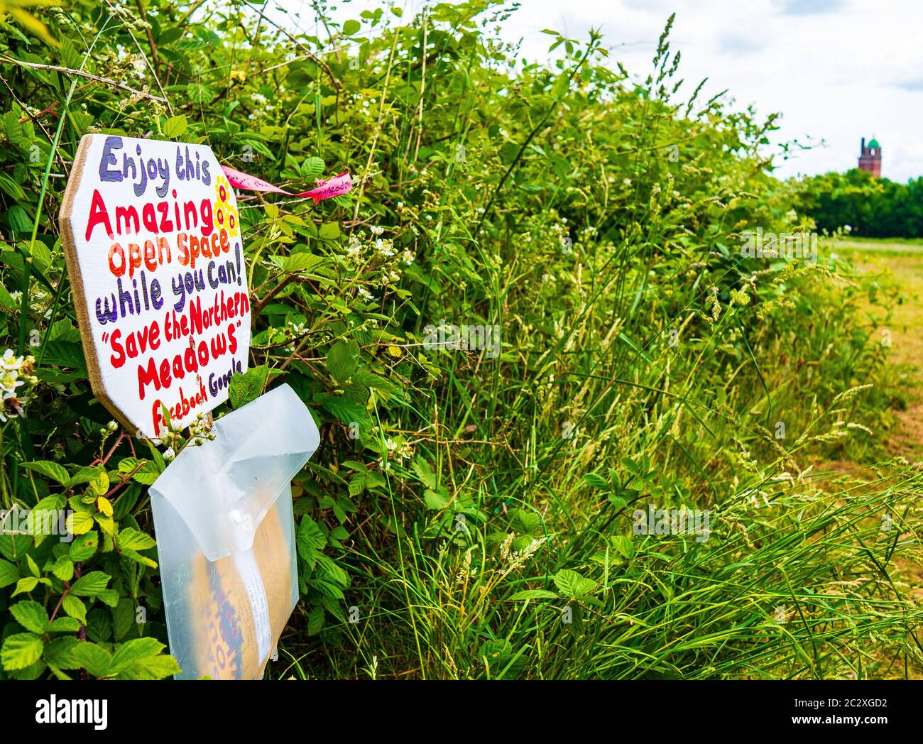 Estinzione ribellione protesta, Northern Meadows, Velindre, Cardiff, Galles, Regno Unito Foto Stock