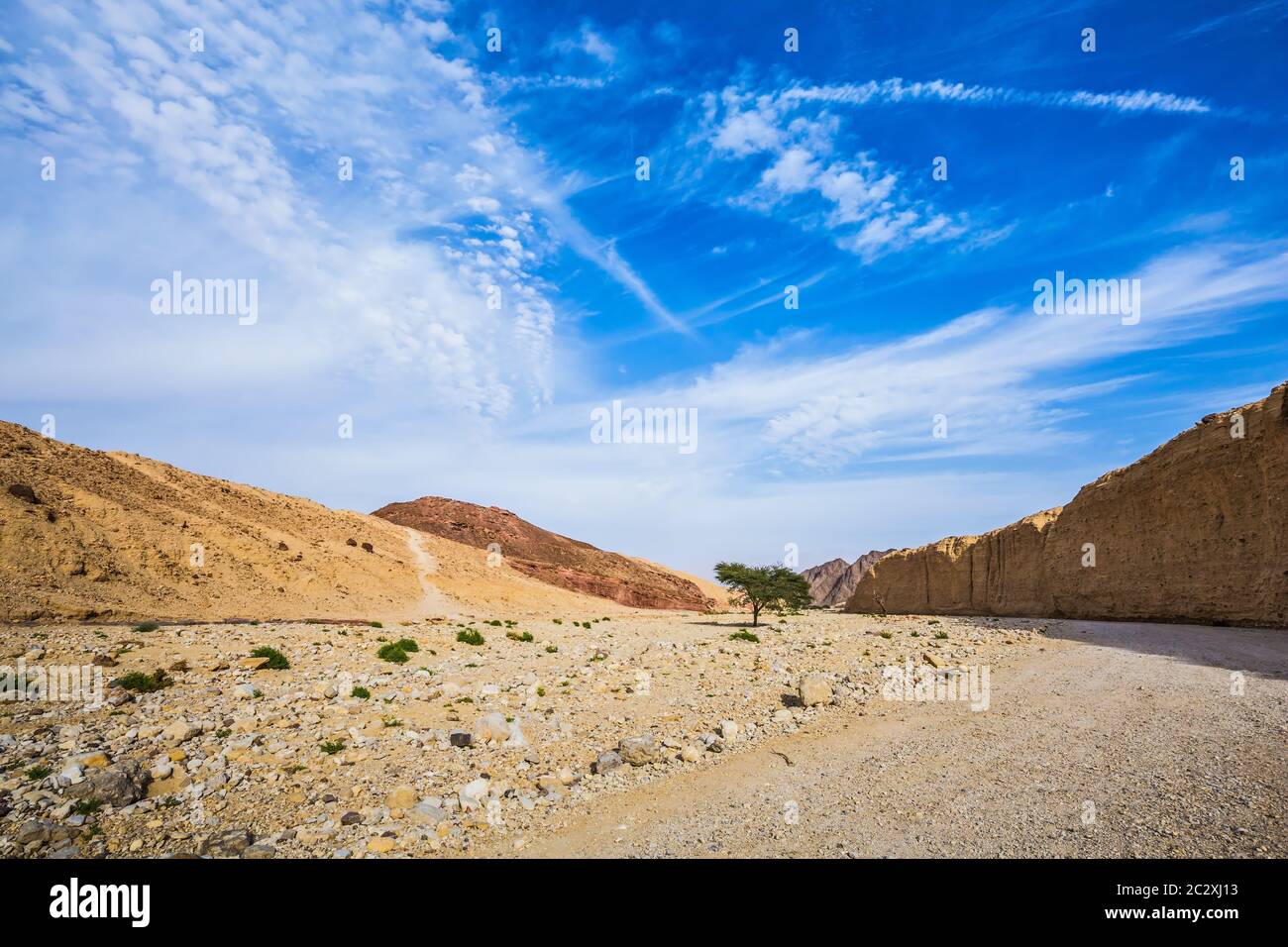 Il deserto di pietra in montagna Foto Stock