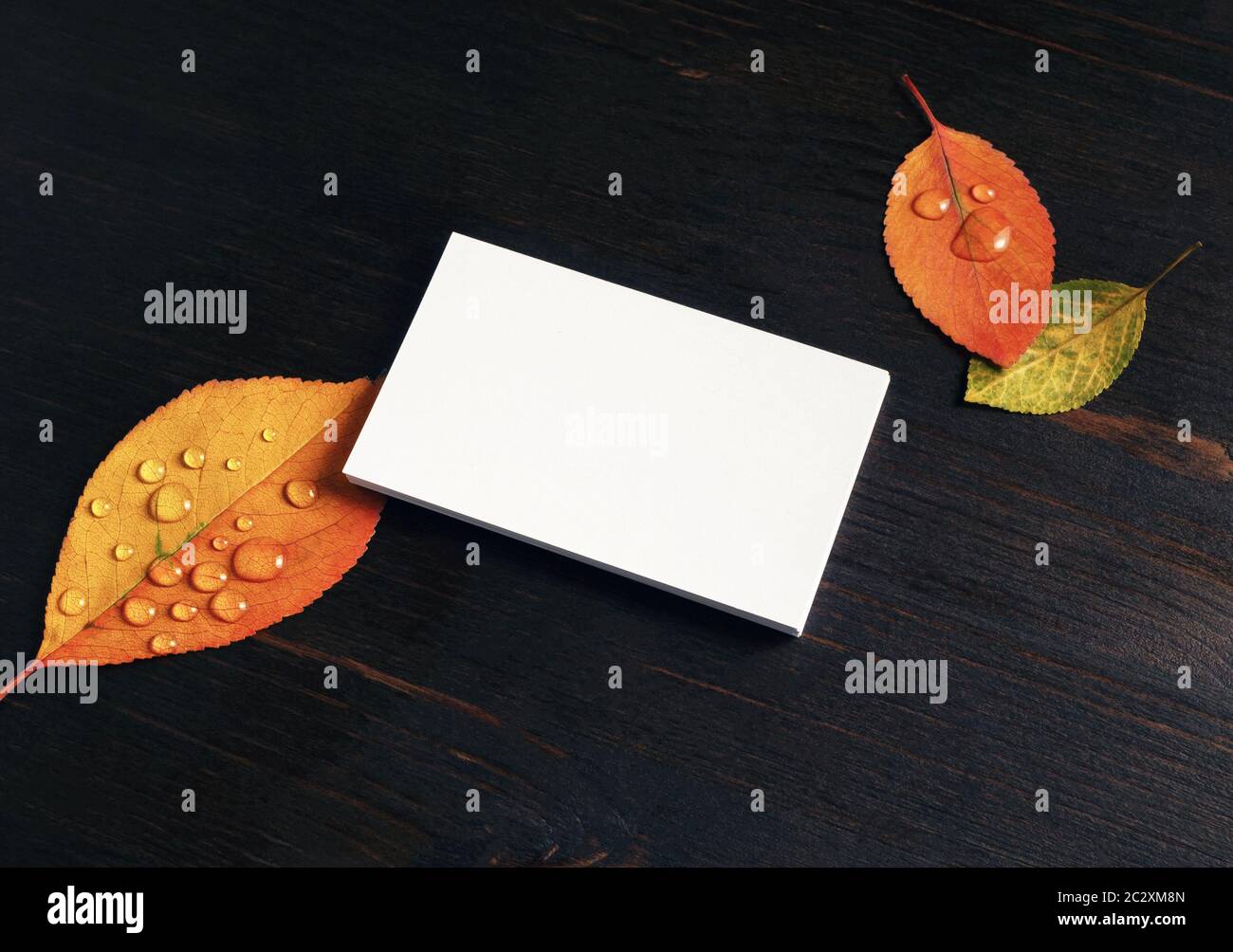 Blank business card e foglie di autunno sulla tavola di legno dello sfondo. Foto Stock
