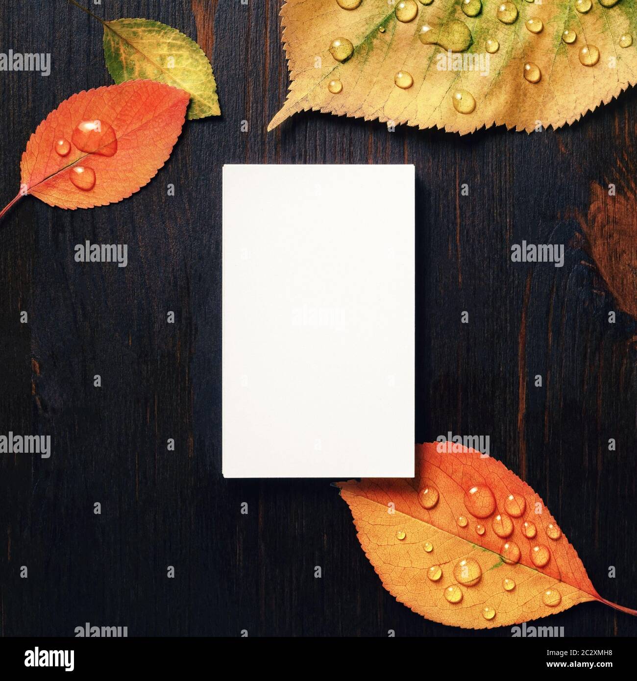 Foto di blank verticale della scheda aziendale e foglie di autunno su sfondo di legno. Modello per il branding ID. Lay piatto. Foto Stock